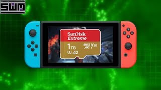 One Terabyte SD Cards For Your Nintendo Switch Is About To Become An Expensive Reality [upl. by Kassaraba266]