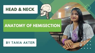 Anatomy of Hemisection of Head amp Neck  Bangla Demonstration of Hemisection  Viscera of Hemisection [upl. by Kiel]