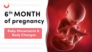 6 Month Pregnancy Baby Movement  6 Month Pregnancy  Six Month Pregnancy Baby Movement [upl. by Crellen]