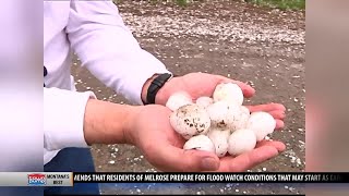 Tips to stay safe and alert this hail season [upl. by Aligna]