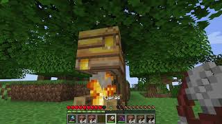 Cosas de abejas  Minecraft 50 [upl. by Acebber197]