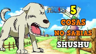 5 Cosas QUE NO SABIAS DE SHUSHU One Piece [upl. by Esertap311]