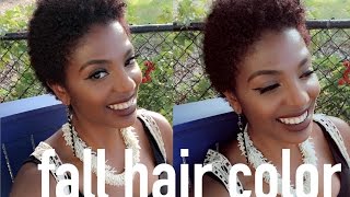 I WENT RED Coloring Short Natural Hair  Clairol Textures amp Tones in Cognac [upl. by Wright]