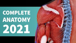 Introducing Complete Anatomy 2021 [upl. by Iat]