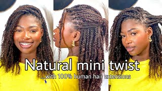 HOW TO  Mini Twists on natural 4c hair  with Afro bulk extensions   5weeks update FT  QVR [upl. by Yasu]