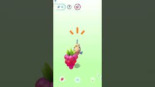 Play and treat Feebas with berries pokemon go pokemon pokemongo feebas [upl. by Vasti]