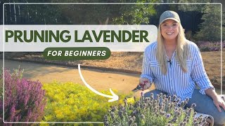 How to Prune Lavender A Beginners Guide [upl. by Nylarat]