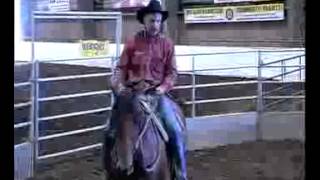 Dennis Reis Universal Horsemanship TV No 396 81213  Problem Horse [upl. by Ollie]