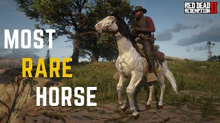 5 Most Rare Horses amp there spawn locations │Part 2 │ Red Dead Redemption 2 [upl. by Shanna]