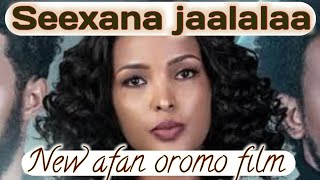 Diraamaa Kiyyoo  oromo music  omn vision entertainment egeree comedy oromo drama  Kutaa 3 [upl. by Copland239]