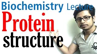 Protein structure  primary secondary tertiary and quaternary structure of protein [upl. by Nalor]