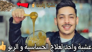 عشبة واحدة تعالج وتقضي على الحساسية الربو وضيق التنفس لصغار والكبار😱👍 [upl. by Toomay]