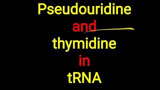 Pseudouridine ll Thymidine in tRNA [upl. by Rasla]