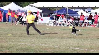 Noriko Miyamoto and Dagda 2024 USDDN World Finals [upl. by Hurlbut267]