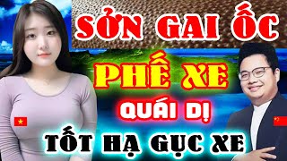 Cờ Tướng Mới  SỞN GAI ỐC Tây Thi Phế Xe Đi Cờ Quái Dị Tốt Hạ Gục Xe [upl. by Malloch]