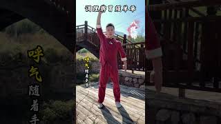 Martial Arts  Tai chi exercise qigong taichi kungfu [upl. by Anirac]