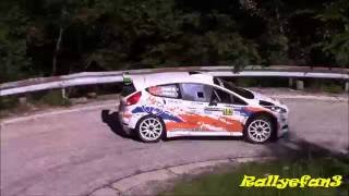 Rally Piancavallo 2016 Action [upl. by Nauqat509]