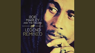 Easy Skanking Stephen Marley Remix [upl. by Refinnej662]