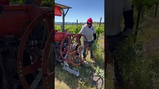 Vineyard Wire Removal  Geyserville CA [upl. by Maddock769]