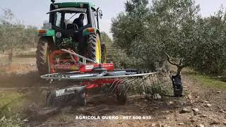 Rastrillo acordonador SuperGiro trabajando en olivar a 7 kh Fabricado en España [upl. by Pippas492]