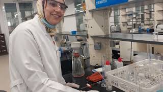 Synthesis of paranitroacetanilide [upl. by Shaylynn872]