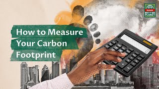 How to Calculate Your Carbon Footprint [upl. by Jareb881]