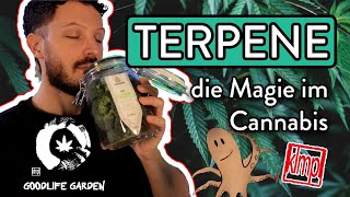 Terpene  die Magie im Cannabis  Was Terpene sind und wie du sie nutzen kannst [upl. by Magdalena834]