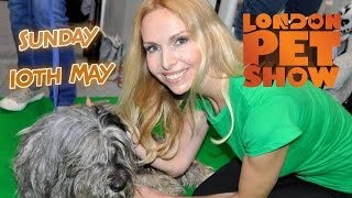 NATIONAL PET SHOW LONDON 2015  SUPERVET Noel Fitzpatrick [upl. by Towers47]