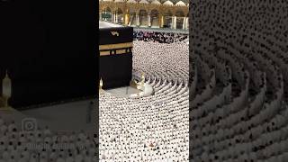 Sholat Berjamaah di Mekkah mekkah madina kabah masjidalharam shortvideo shorts short fyp [upl. by Elcarim]