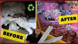 How To Build A Zoo Quality Reptile Enclosure With Recycled Materials DIY Guide  Herpin Hippie [upl. by Betthezel]