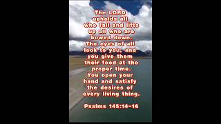 The lord upholds all who fall and lifts up all who are bowed down faith jesus motivation grace [upl. by Enitsed768]