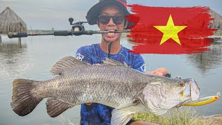 Catching Barramundi in Vietnam  Pond Fishing  Catch and Release [upl. by Nazler208]