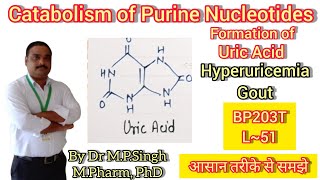 Catabolism of Purine Nucleotides  Hyperuricemia amp Gout  Biochemistry  BP203T  L51 [upl. by Llerroj798]