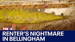 Bellingham renters plead for help over flooding mold problems  FOX 13 Seattle [upl. by Magen59]