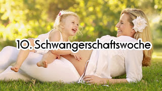 10 SSW  10 Schwangerschaftswoche ✪ DSSKde [upl. by Viviana]