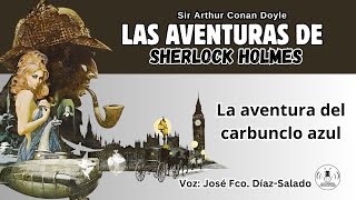 12  LAS AVENTURAS DE SHERLOCK HOLMES  LA AVENTURA DEL CARBUNCLO AZUL AUDIOLIBRO [upl. by Brok]