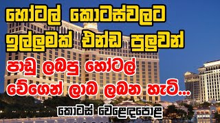 හෝටල් කොටස් වලට ඉල්ලුම පාඩු ලබපු හෝටල් ලාබ වේගෙන එනවා colombo Stock Exchange tellers academy [upl. by Eileek]