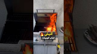 آتیش سوزی بخاطر کباب کوبیده 🔥 [upl. by Zischke]