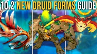 Complete Guide to All New Druid Forms in Patch 102 Guardians of the Dream WoW [upl. by Libbi]