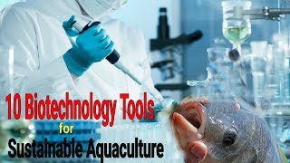 Top 10 Biotechnology Tools for Sustainable Aquaculture [upl. by Ecidnarb]