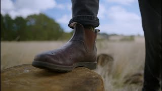 Well Worn  Blundstone [upl. by Kimmie]