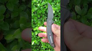 Petrified Fish PFP05 Deepsea ofatheredc edc blade foldingknives edclifestyle flipperknife [upl. by Nahtam]