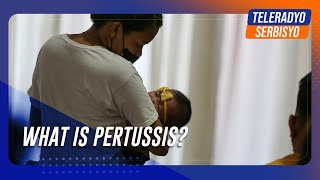 What is pertussis  TeleRadyo Serbisyo [upl. by Etnovert272]