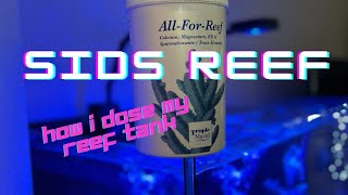 How I dose my tank with Tropic Marin AllforReef [upl. by Landri]