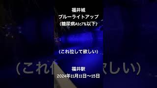 「福井城ブルーライトアップ東側」ライトアップせめてこれくらいはして欲しい。駅前との比較福井県糖尿病対策推進会議事務局：A1c7以下をキープ福井市 大手。2024年11月11日～15日。 [upl. by Gona]