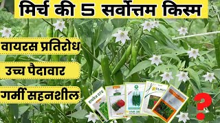 मिर्च की 5 जबरदस्त किस्में  Hybrid Chilli Seeds  Mirch ki Kheti  Armour  Egale  Unnati 60 13 [upl. by Saraann]