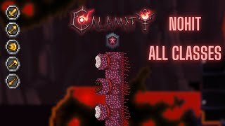 Terraria Calamity Wall of Flesh Master Death Mode No Hit All Classes [upl. by Asela]