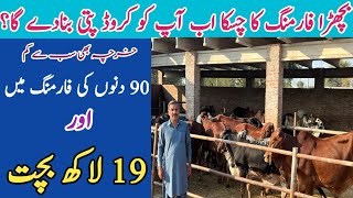 Parofitable Business Bachra Farming in Pakistan [upl. by Rhtaeh24]