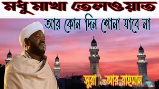 মধু মাখা তেলওয়াত  সুরা আররহমান  Surah ArRahman  Nurin Mahmad [upl. by Irallih]