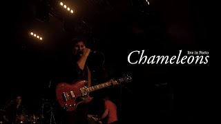 CHAMELEONS  Live in Porto 2023 [upl. by Brad]